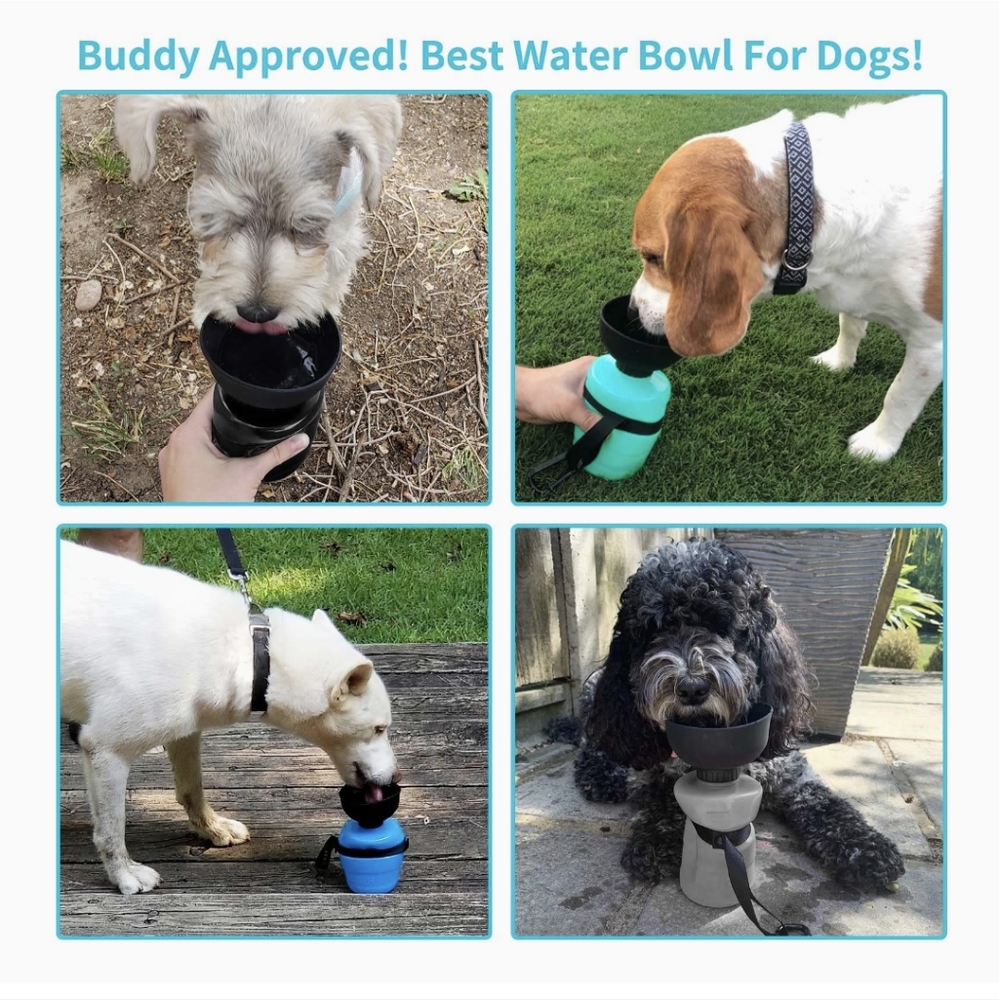 Portable pet water bottle Blue